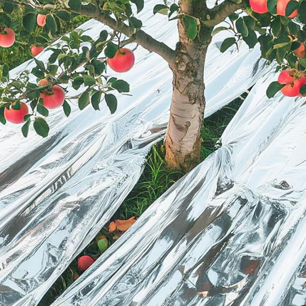 Koc termiczny ratunkowy, uleps – Emergency Mylar Blanket recenzja i cena